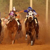 carreras caballos colombia